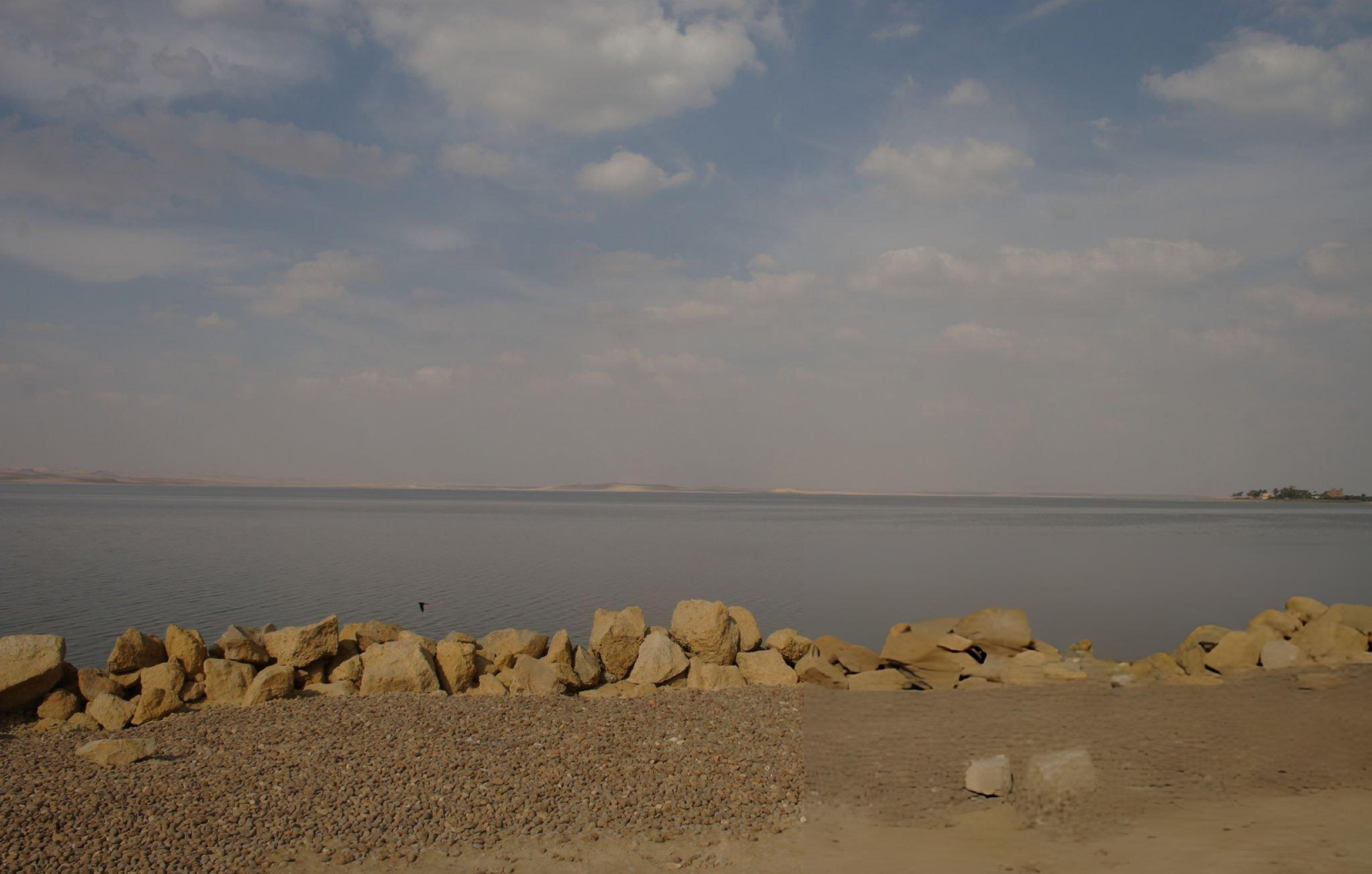Day Trip to Fayoum Oasis